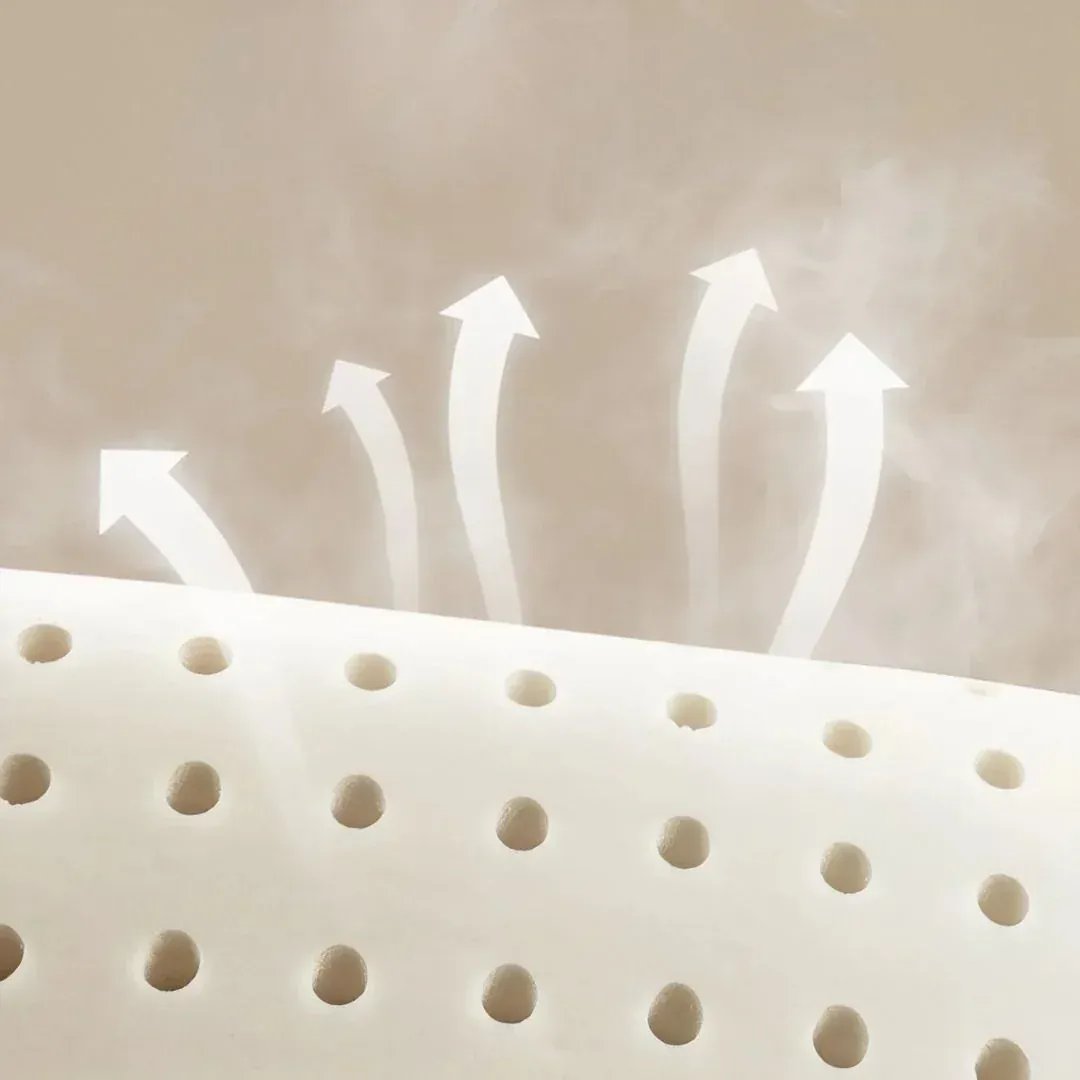 Coussin Randonnée Ergonomique Confortable RandoCamp